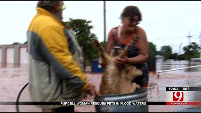 Purcell Woman Rescues Pets In Flood Waters