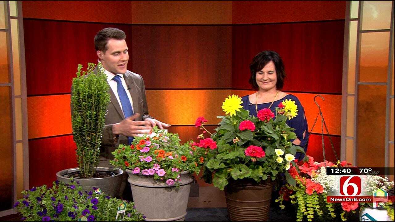 HGTV Plant Expert Offers Flowering Tips