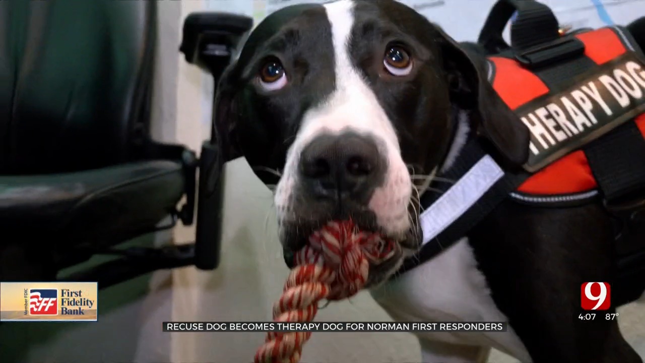 Oklahoma’s First 911 Center Therapy Dog Having Paw-sitive Effect On Dispatchers 