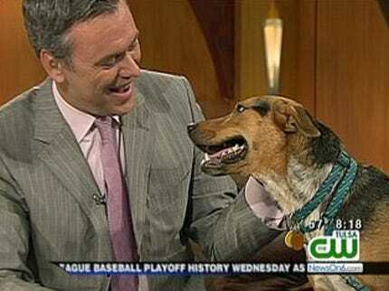 Radar The Weather Dog And His Trainer Talk About Who's The Boss