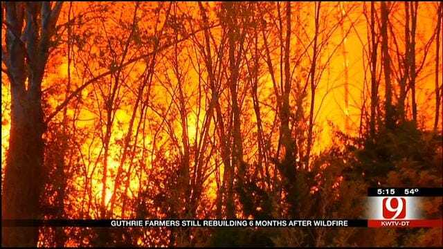 Guthrie Wildfire Victim Turns To Public For Help Reviving Organic Farm