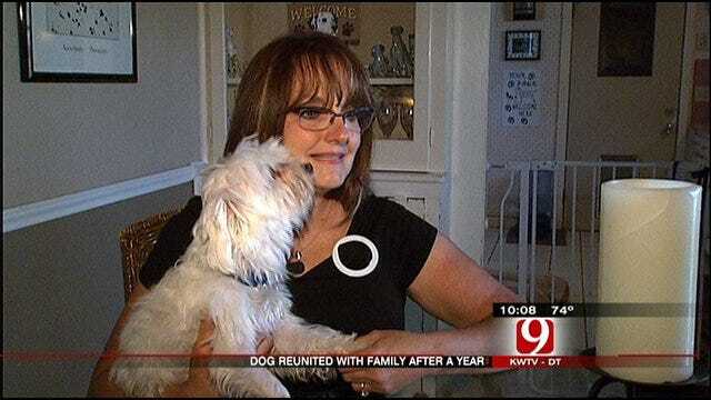 Oklahoman Helps Lost Dog Make 1,500-Mile Journey Home