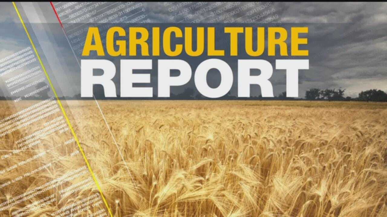 Ag Report: March 28, 2017
