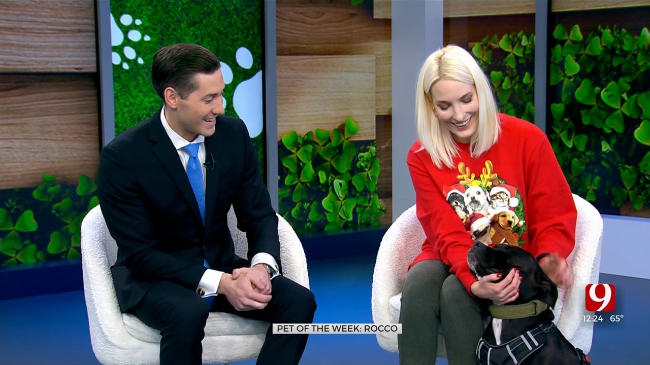Pet Of The Week: Rocco