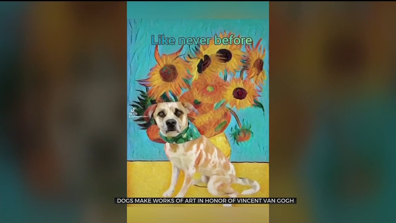 Gogh Dog Gogh: Dog Adoption Event