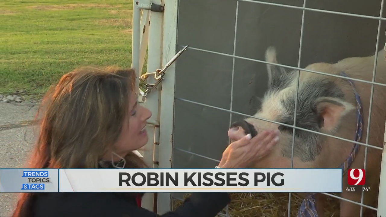 Trends, Topics & Tags: Robin Marsh Kisses The Pig!