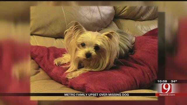 Family Reunites With Lost Dog
