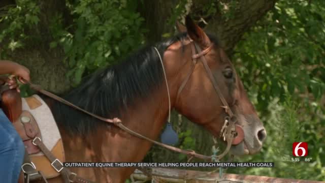 Okmulgee County Therapy Services Using Horses To Achieve Mental Health Goals