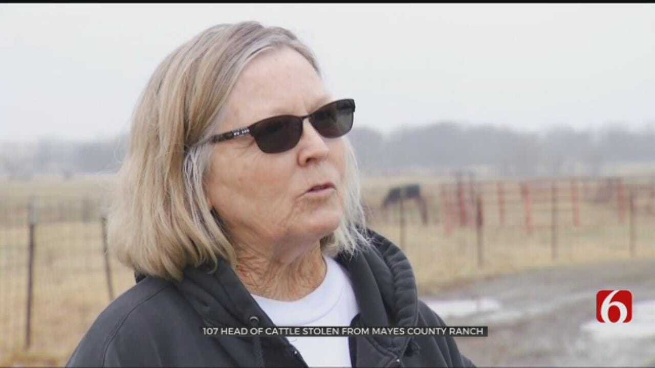 Over 100 Head Of Cattle Stolen From Oklahoma Ranch, Family Says