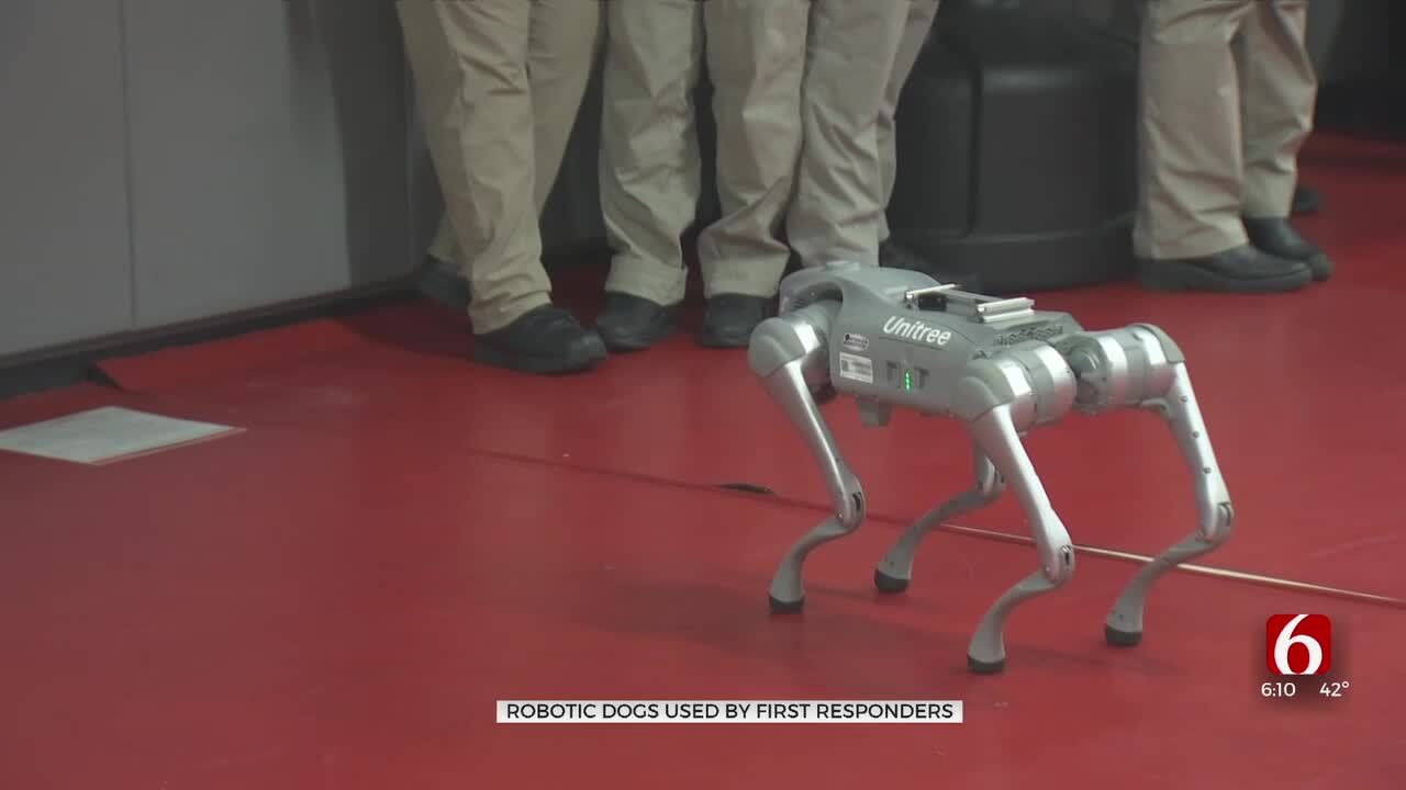 Robotic Dogs Created To Help First Responders