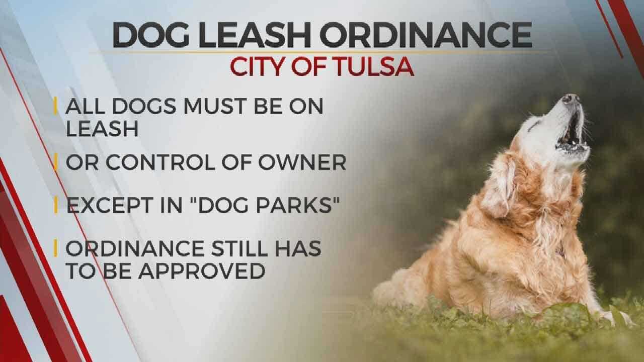 Tulsa Considering Leash Law At All But Designated Dog Parks
