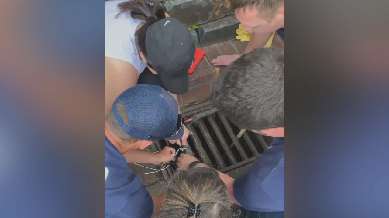 Tulsa Firefighters Gets Creative To Rescue Family Of Ducklings