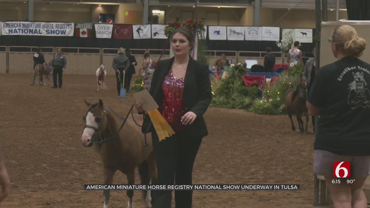 American Mini Horse National Show Coming To Tulsa Fairgrounds