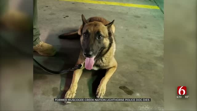 Former Muscogee Creek Nation Lighthorse Police Dog Dies