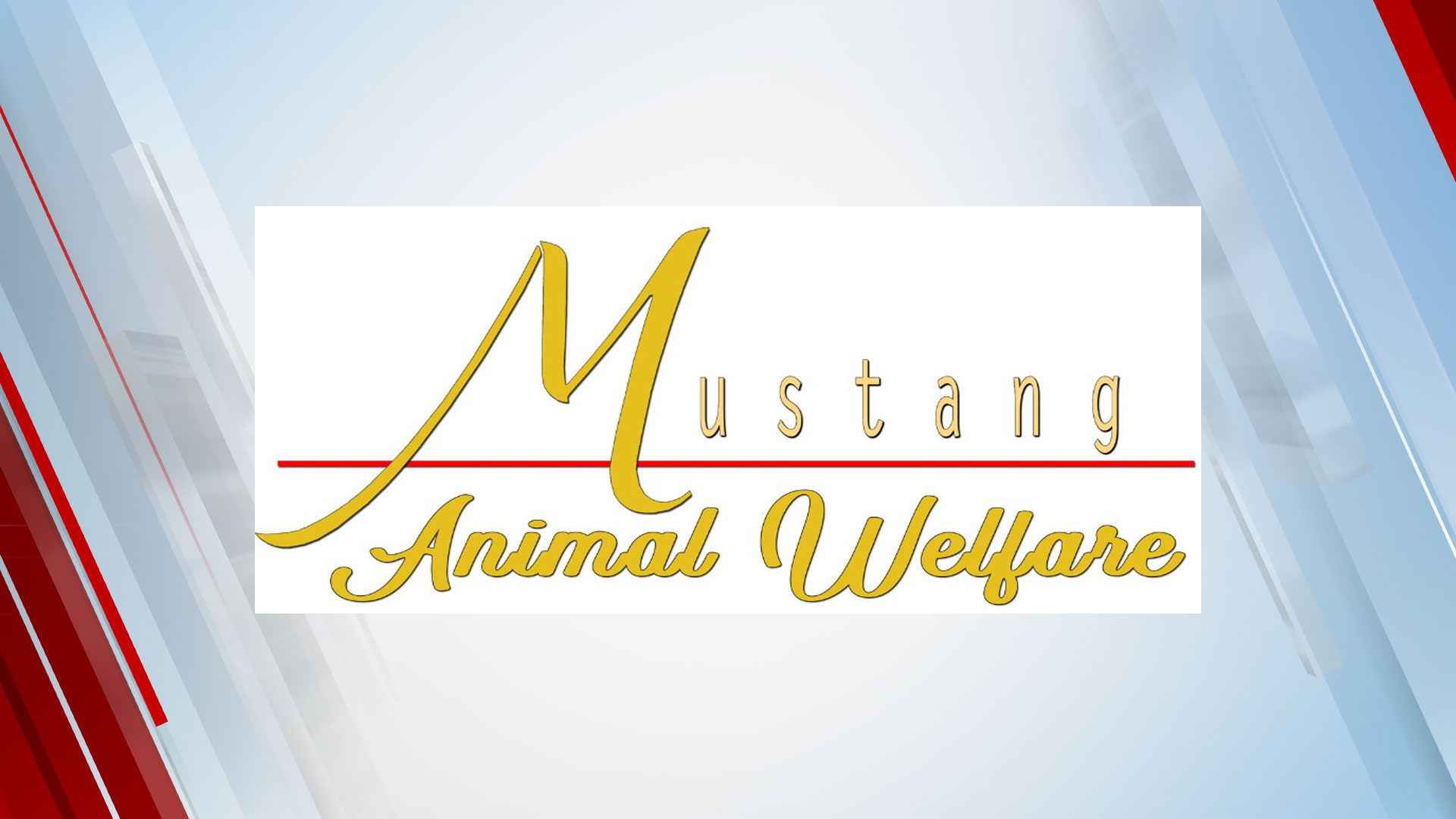 Mustang Animal Welfare Closed Again Due To Respiratory Outbreak