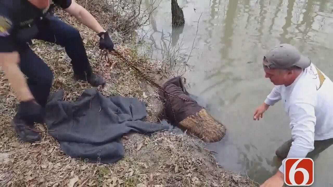 Donations Needed For Dog Saved From Creek in Broken Arrow