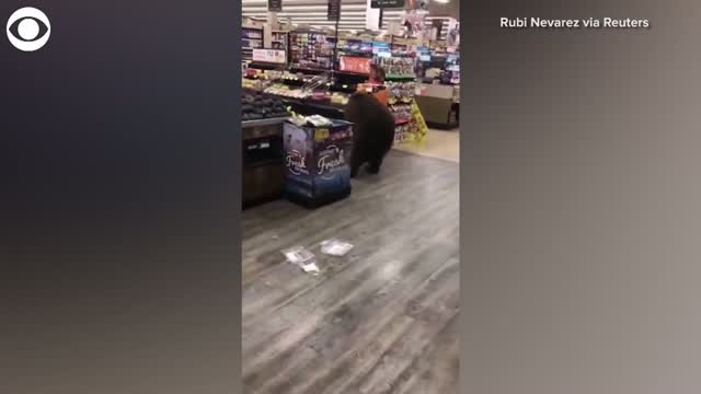 Watch: Bear Picks Up A Snack From California Supermarket
