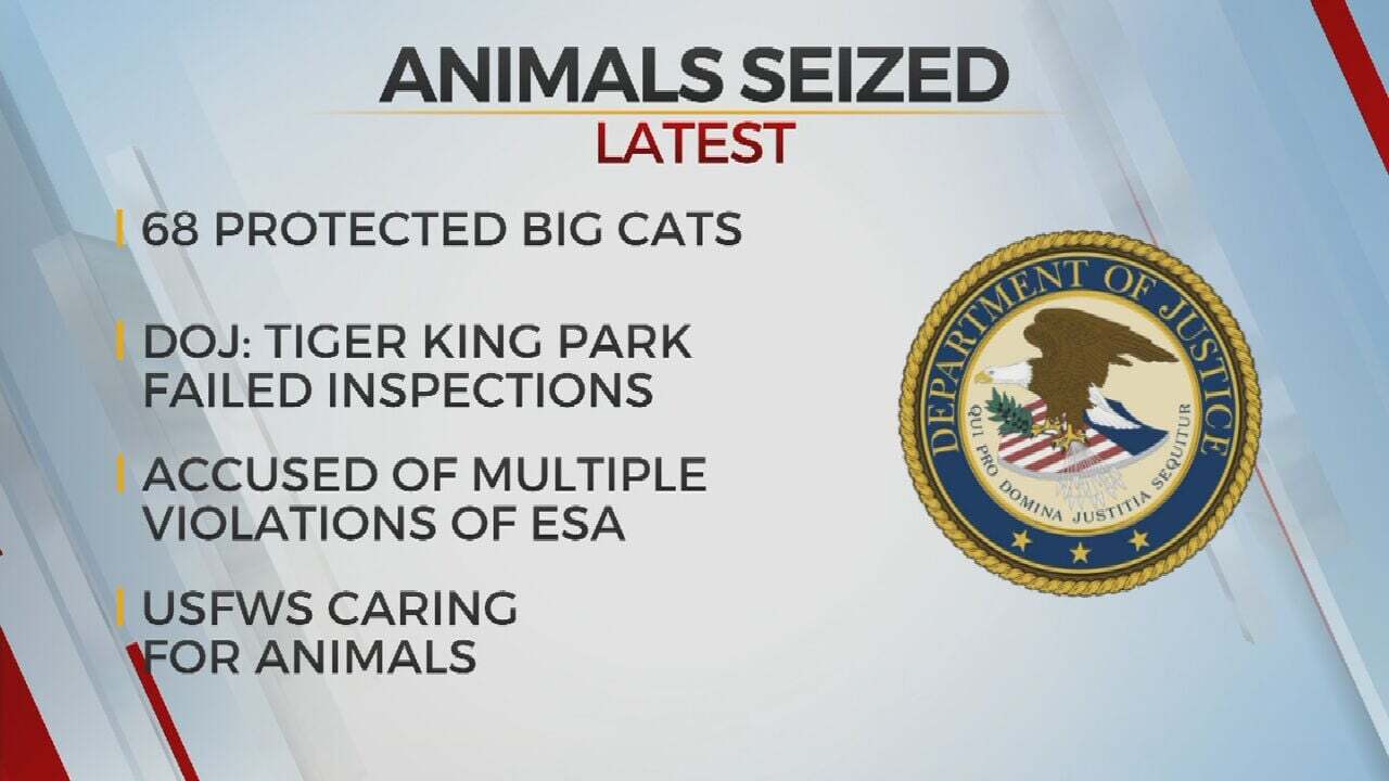 Feds Seize 68 Big Cats From ‘Tiger King Park’ In Oklahoma