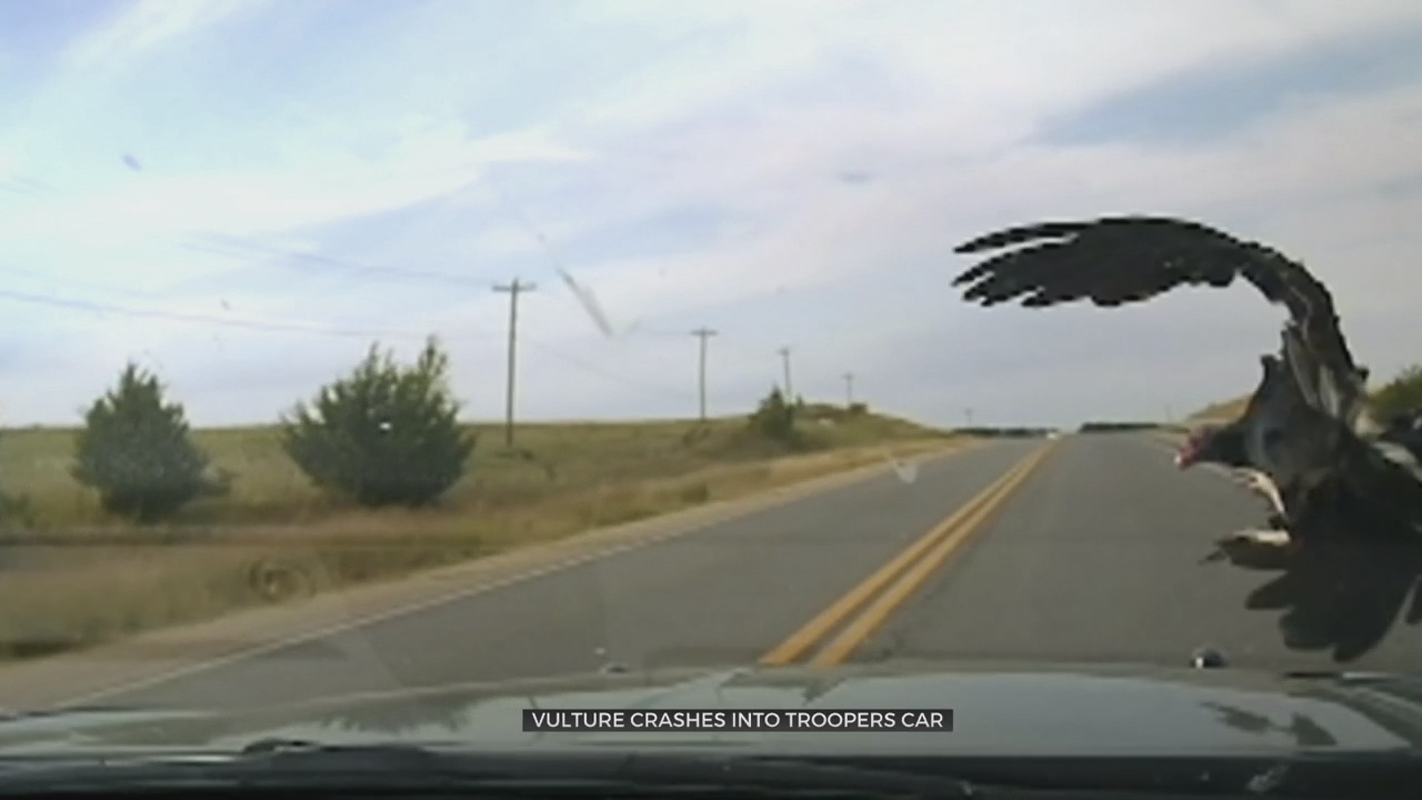 OHP Trooper Has Shocking Run-In With Wildlife While On Patrol