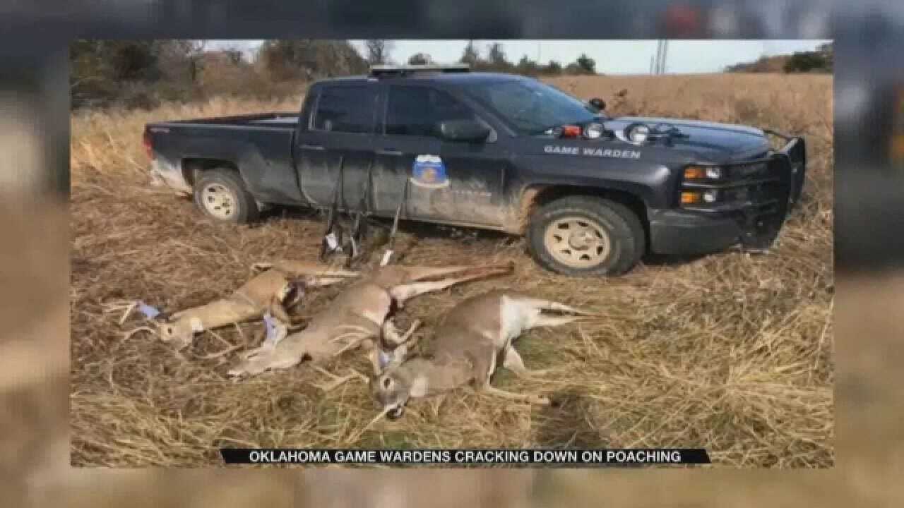 Oklahoma Game Wardens Cracking Down On Deer Poaching