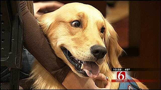 Tulsa Service Dogs Graduate With Honors