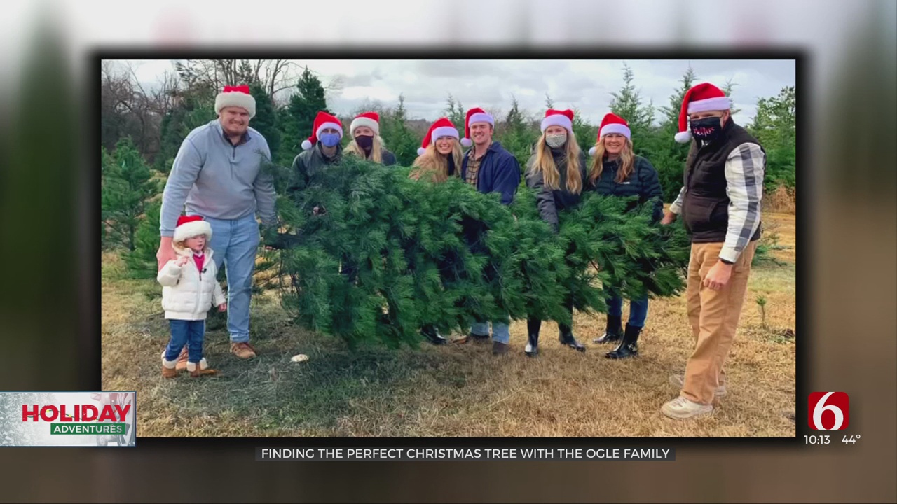 Finding The Perfect Christmas Tree Is A Family Affair 