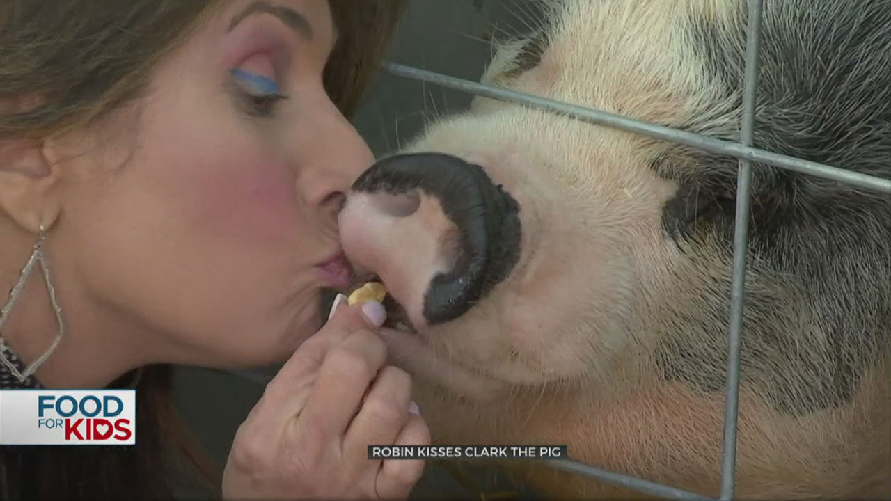 News 9’s Robin Marsh Kisses Clark The Pig For 'Food For Kids'