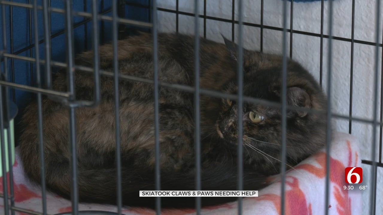 Skiatook Animal Rescue Runs Out Of Room For More Animals
