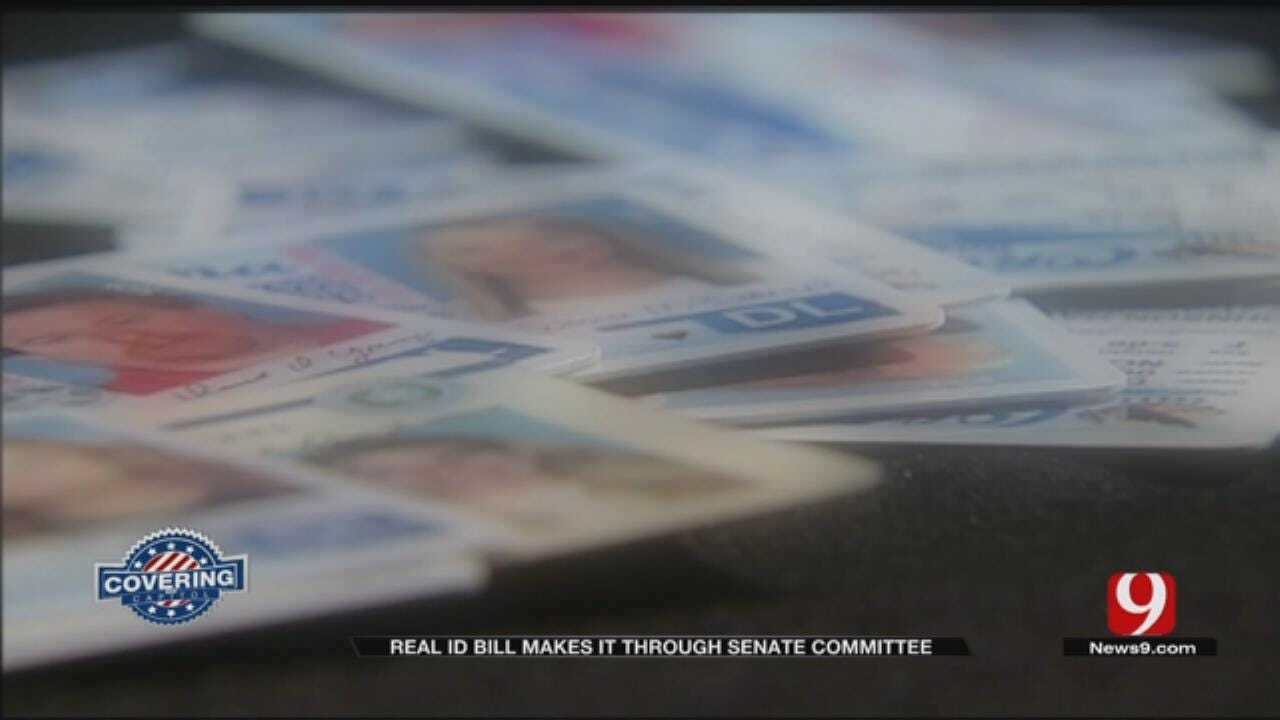 Senate Committee Passes REAL ID Bill