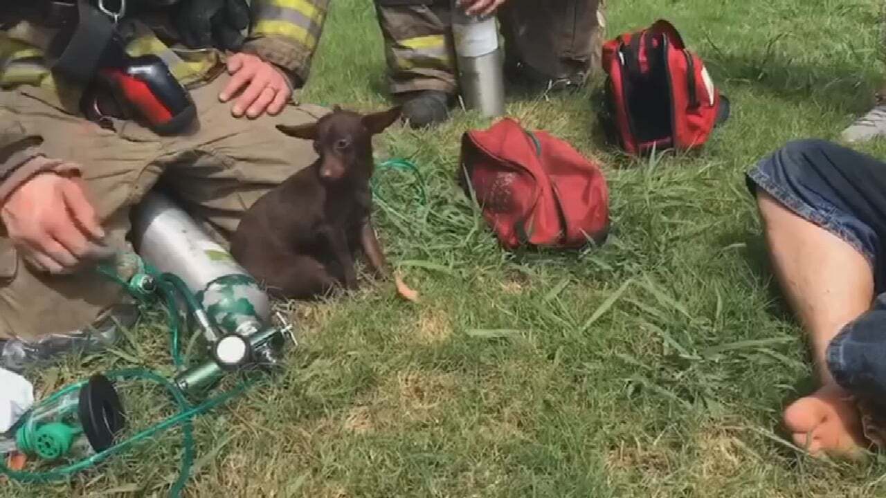OKC Firefighters Rescue 2 Dogs From Burning Home