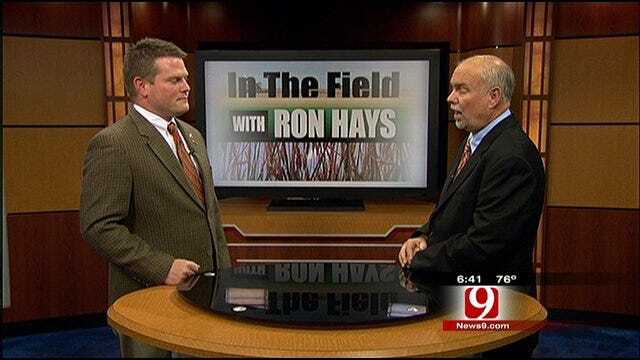 In The Field With Ron Hays: Hot And Dry Summer's Effects On Wheat Pastures