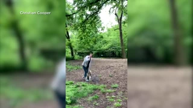 Woman Fired From Her Job After She Called The Cops On A Black Man In Central Park