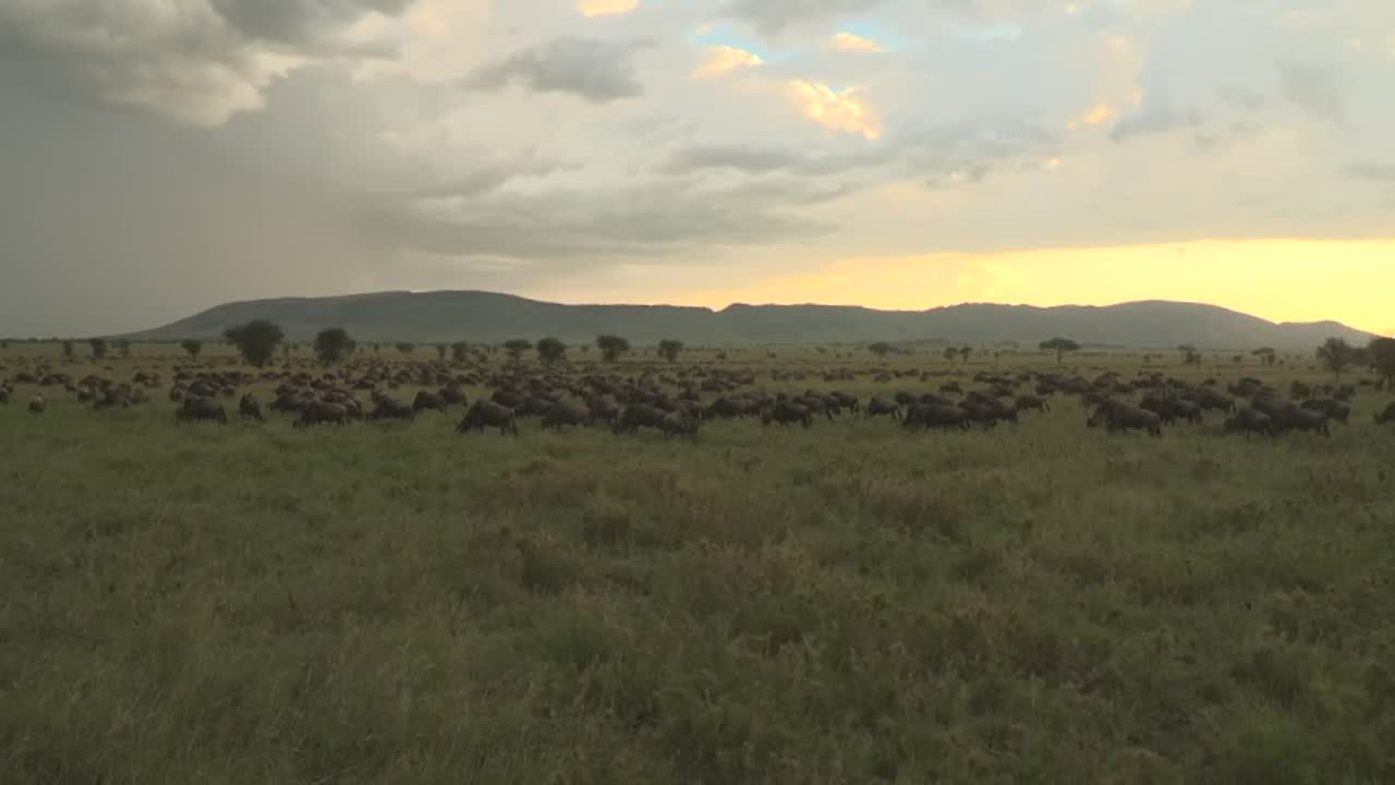 A Look At Tanzania's National Parks