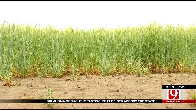 Oklahoma Drought Impacting Meat Prices Across The State