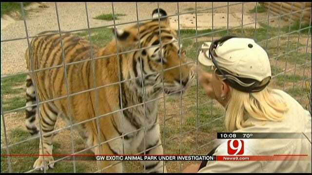 Oklahoma Exotic Animal Park Under Investigation For Abuse, Neglect