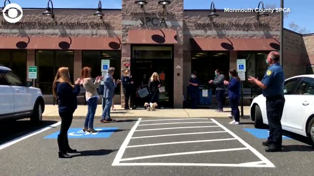 WATCH: Dog Gets Special Send-Off After Finding Forever Home