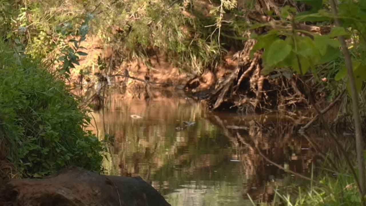 McClain Co. Ranch Owner Says City Sewage Is Leaking Into Nearby Creek
