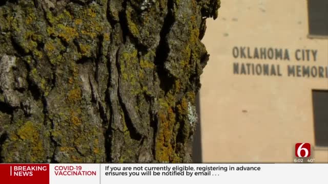 OKC National Memorial & Museum Offers Resources for Teachers To Discuss Capitol Attack  