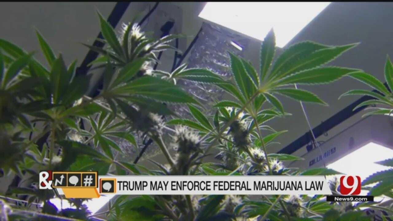 Trends, Topics & Tags: White House ‘Taking Action’ Against Recreational Marijuana