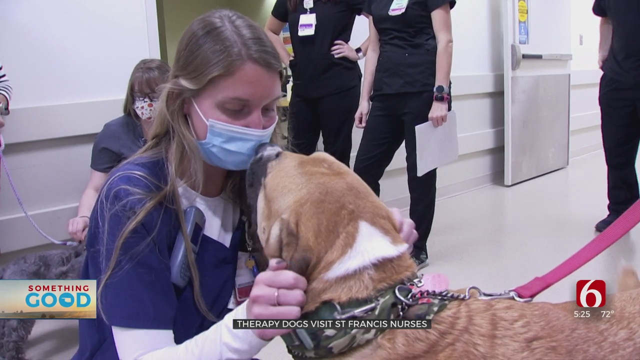 Therapy Dogs Visit Emergency Room Nurses At Saint Francis 