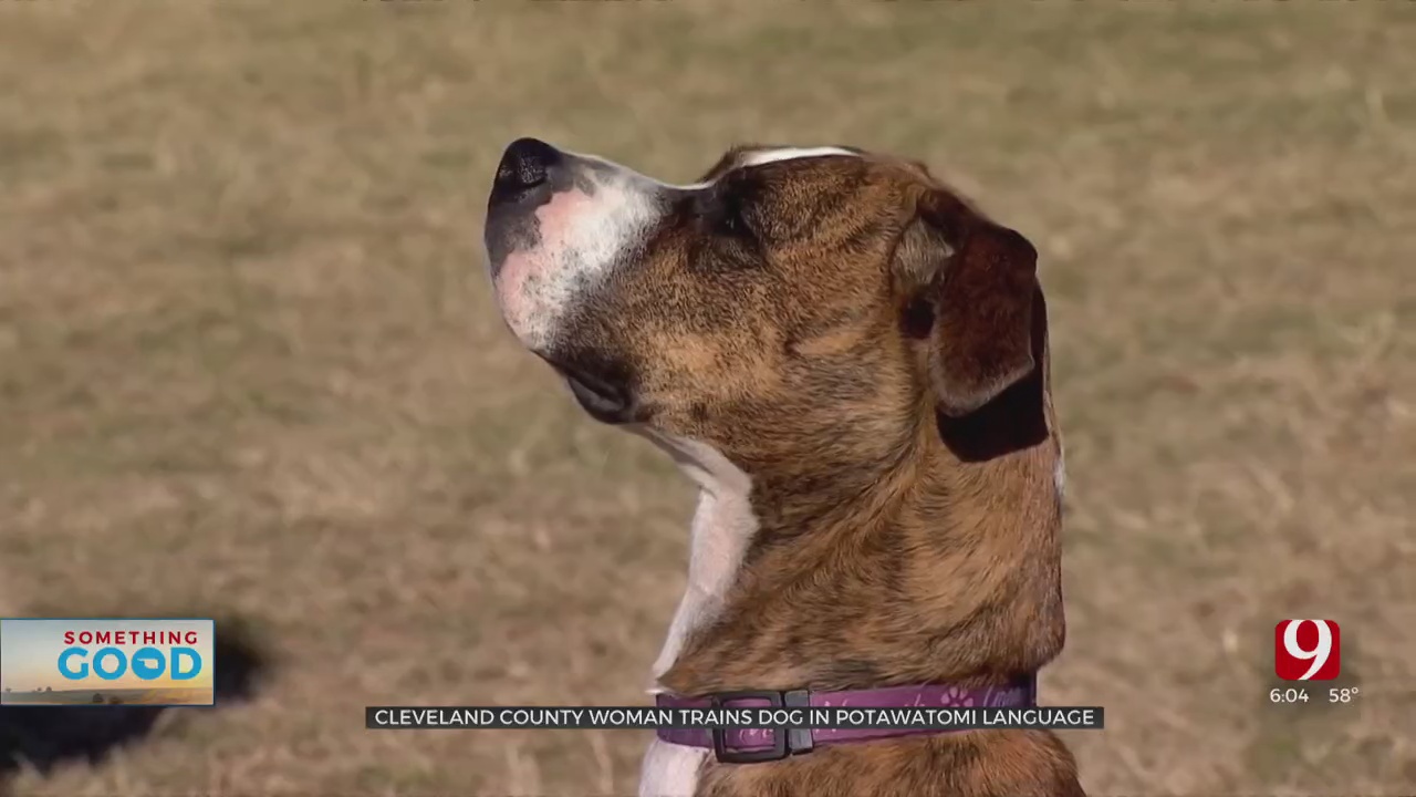 Cleveland County Woman Trains Dog To Understand Potawatomi Language