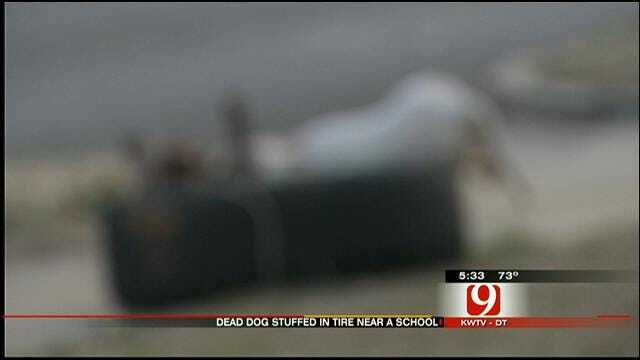 Dead Dog Left Decomposing Near OKC School For Days
