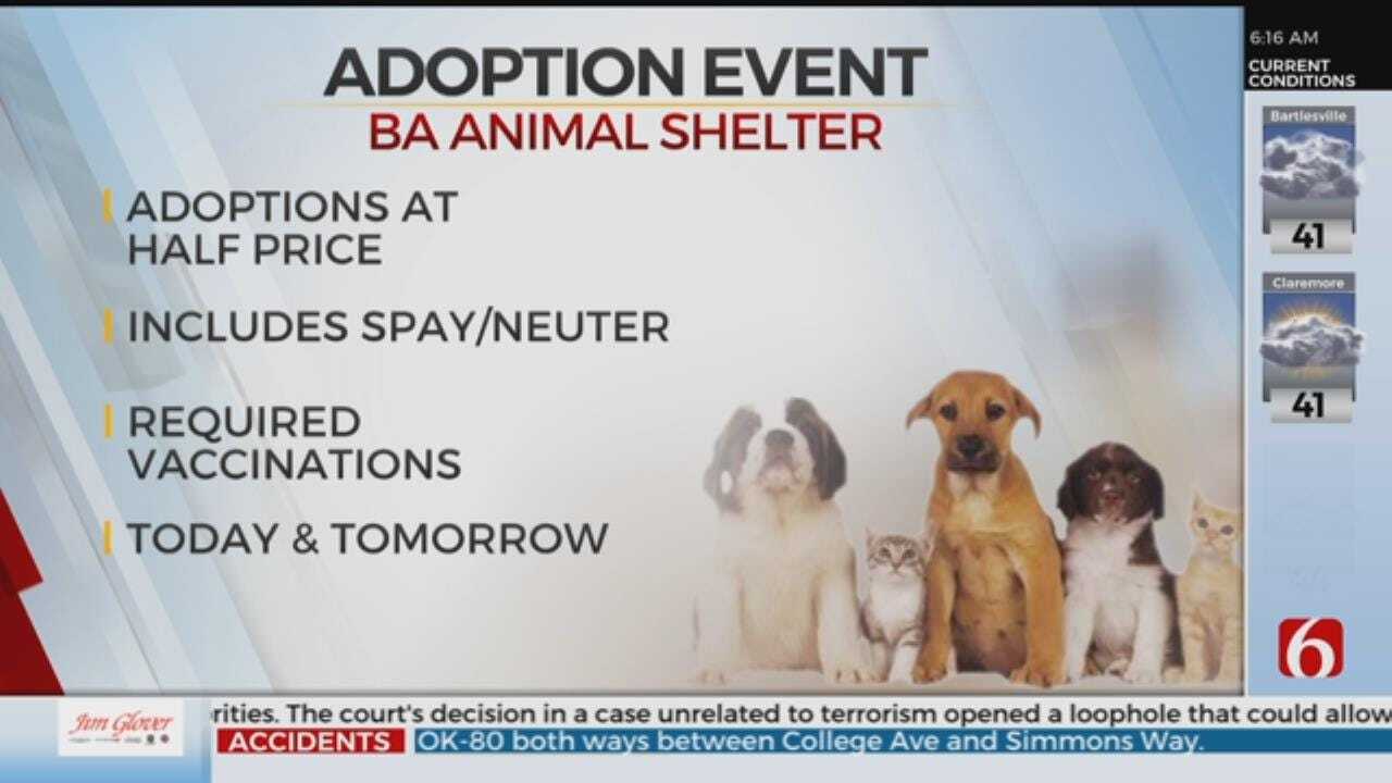 Broken Arrow Animal Shelter Holds Adoption Event