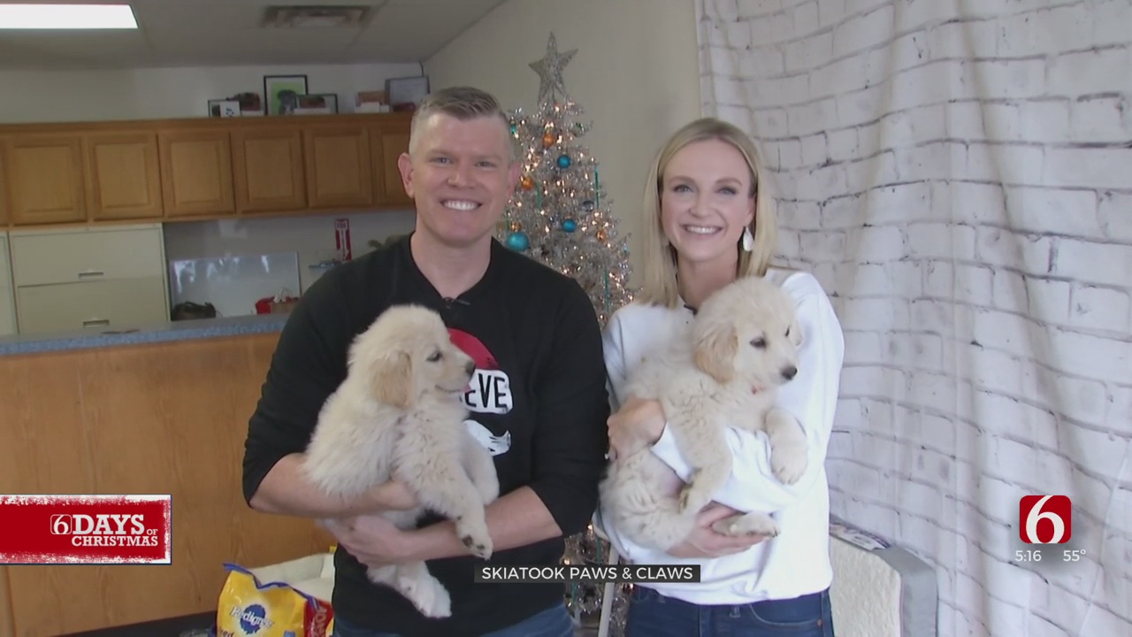 6 Days Of Christmas: Donations For Skiatook Paws and Claws Animal Rescue.