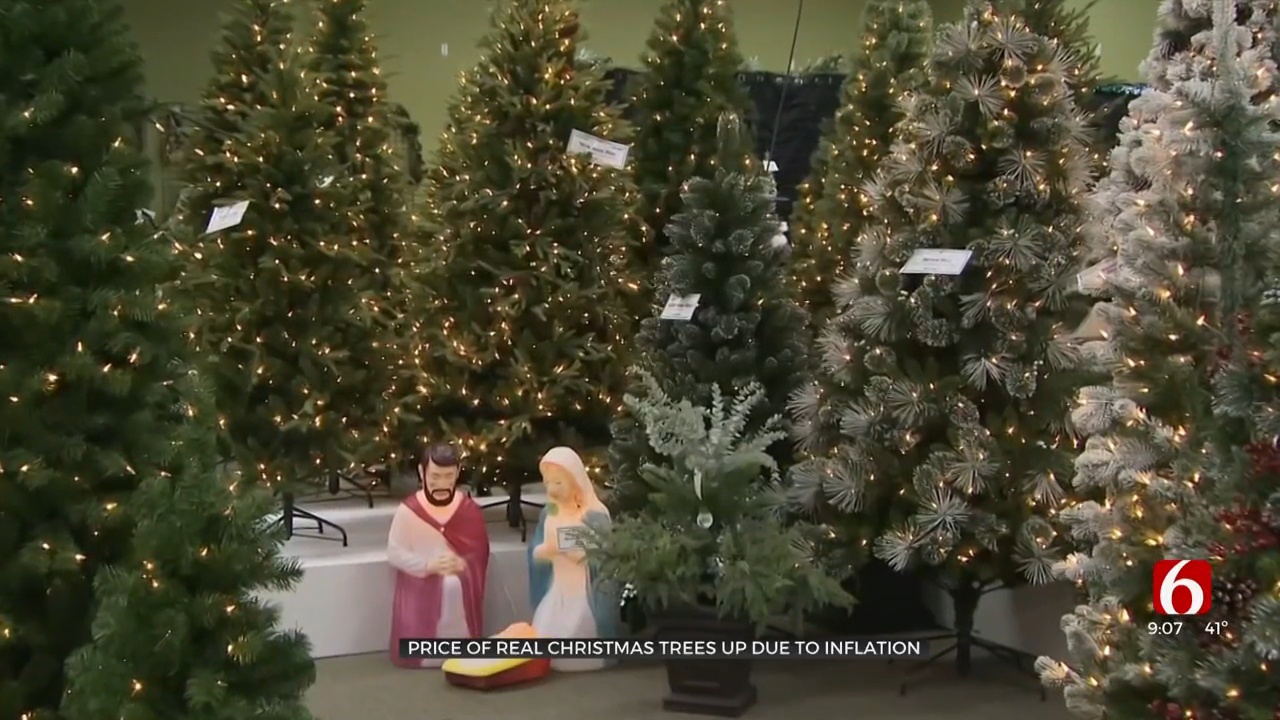 Price Of Real Christmas Trees Up Due To Inflation