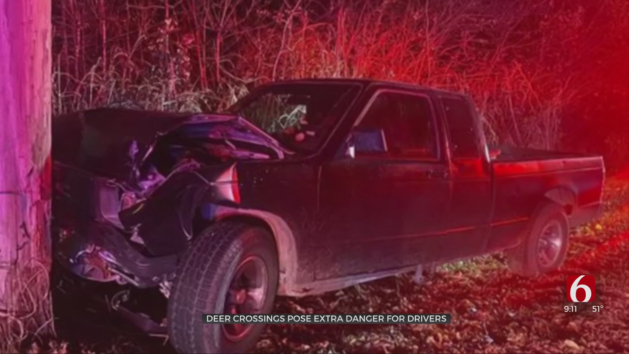 18-Year-Old Warns Other Drivers About Dangers Of Driving During Hunting Season
