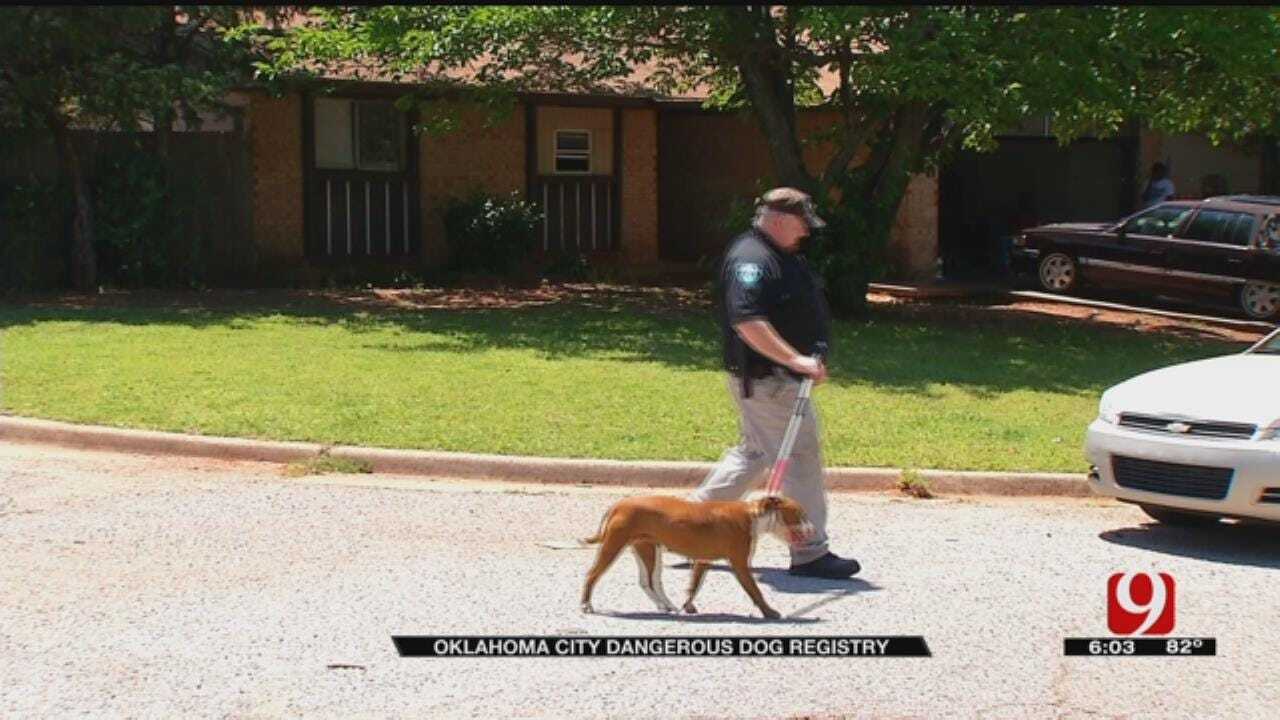OKC Animal Welfare Asking Neighbors To 'Stand Up' After Dog Mauling