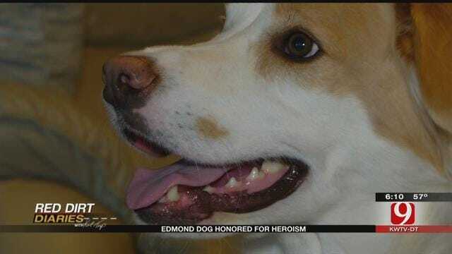 Red Dirt Diaries: Edmond Dog Honored For Heroism
