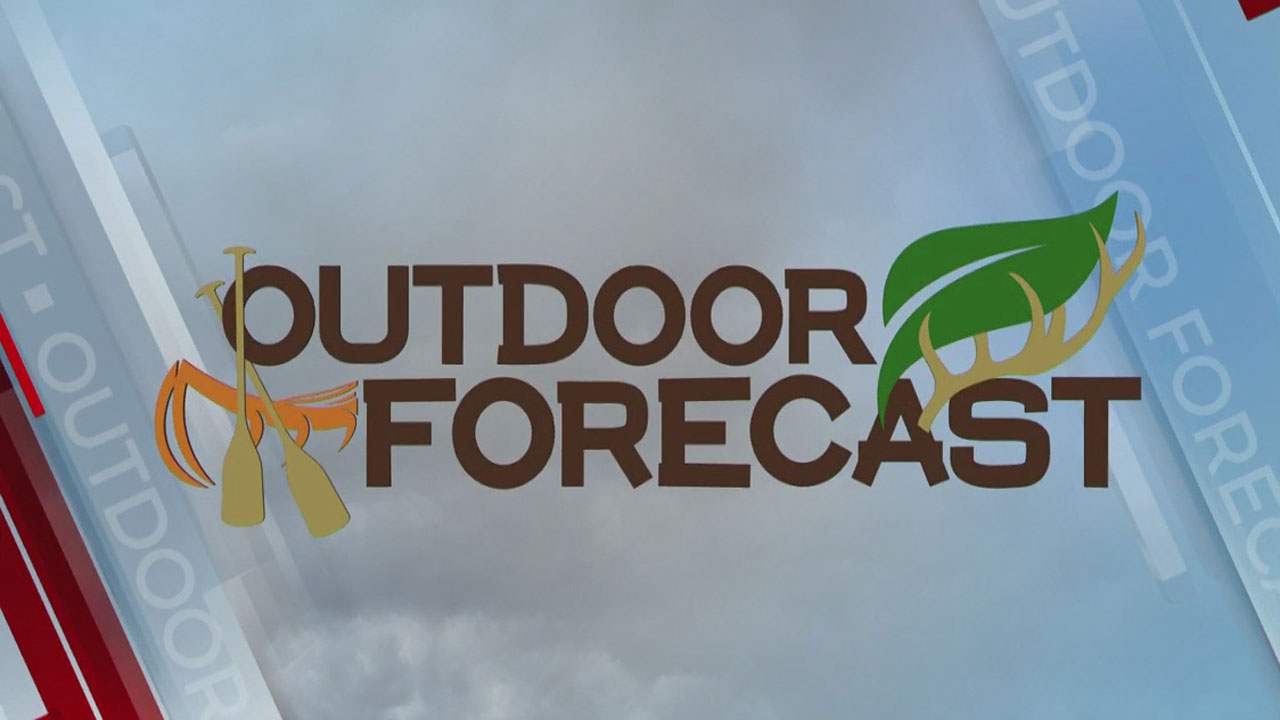 Lacey's Wednesday Outdoor Forecast