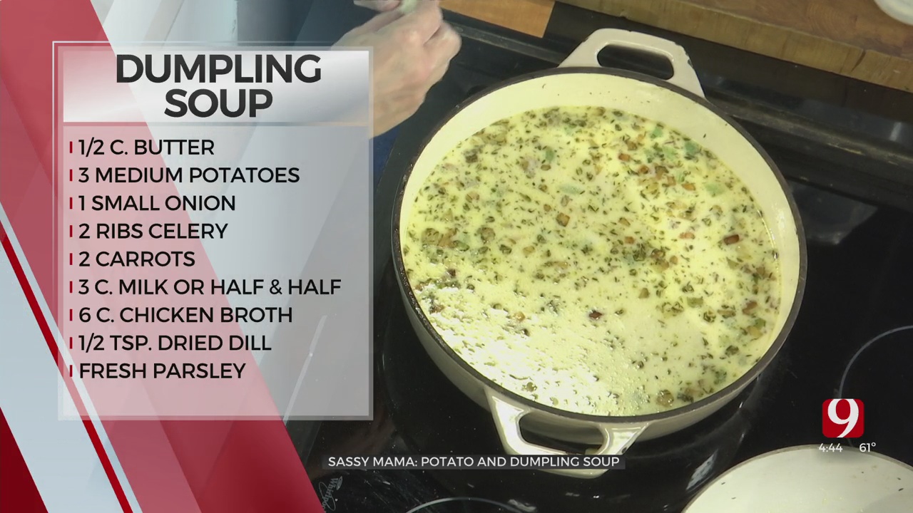 Sassy Mama: Dumpling Soup